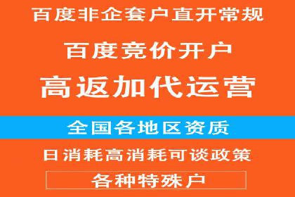 SEM代运营机构案例分析：优化策略详解
